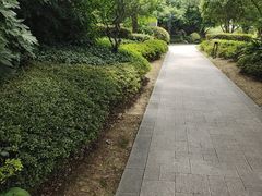 -雅达·阳羡溪山小镇中心