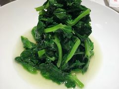 清炒豌豆尖-四季民福烤鸭店(望京南湖东园店)