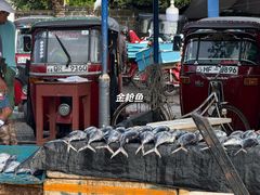 -尼甘布海鲜市场