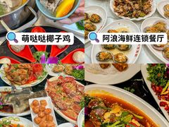 -亚龙湾热带天堂森林公园