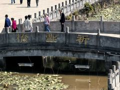 -三水森林公园