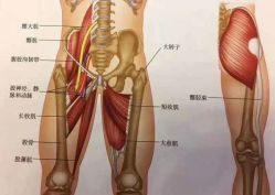 -九月瑜伽·普拉提