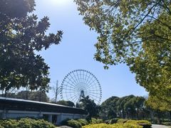 -蠡湖大桥公园