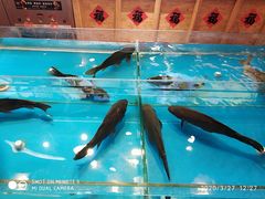 -闯关东东北农家菜(崂山石老人店)