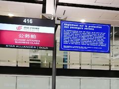 -蒙特利尔皮埃尔·埃利奥特·特鲁多国际机场