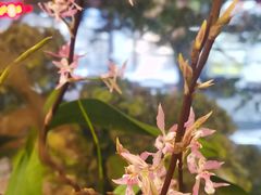 -花二家·生活馆(六运小区店)