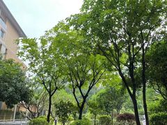 -南宁荔园维景国际酒店·荔园中餐厅