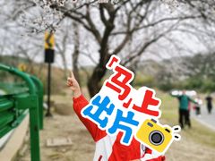 -南北湖风景区