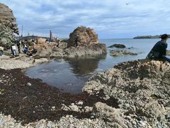-大连老虎滩海洋公园