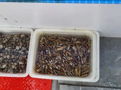 -日照大牌檔•小船海鲜(万平口店)
