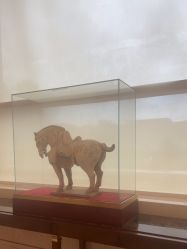 -武汉汉口喜来登大酒店·宴会厅