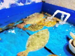 -澜小宴·锦绣江南(金沙滩店)