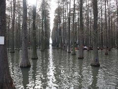-渌洋湖湿地公园