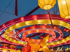 -淄博花灯齐彩城