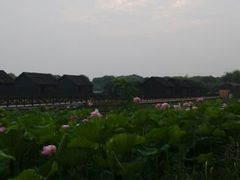 android_upload_pic-太湖湾开元名庭大酒店