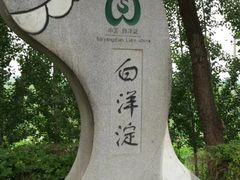 -白洋淀景区