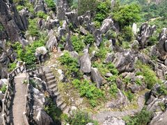 -玉石林风景区