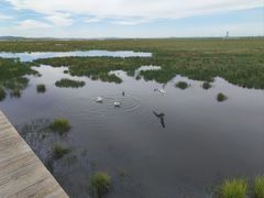 -花湖生态旅游区