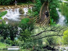 -广州市石门国家森林公园