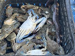 -海南清水湾莱佛士酒店