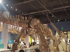 -国家自然博物馆