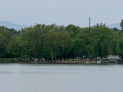 -大兴滨河森林公园