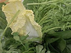 -草原传奇鲜羊火锅(桥北店)