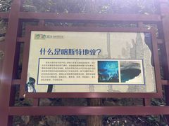 -雪玉洞景区