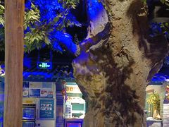 -血站大盘鸡(建设店)