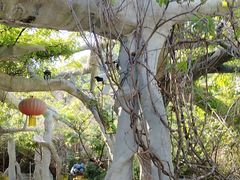 -鞍山岫岩沟汤温泉