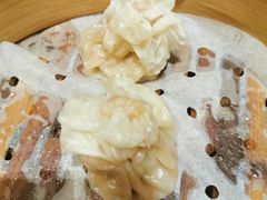 -阳阳中国饭(北京荟聚店)