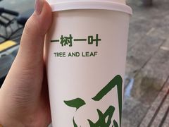 -一树一叶·福建茶档(石鼓路店)