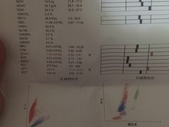 -爱侣宠医·鹦鹉专科·小型哺乳类·异宠专科(灵石路店)