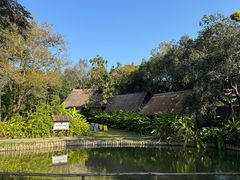-大象粑粑造纸公园