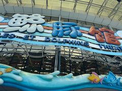 -海合安成都极地海洋公园