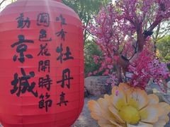 -洛阳市隋唐城遗址植物园