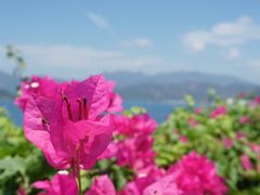 -芽庄珍珠岛游乐园