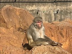 -昆明动物园
