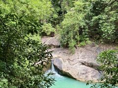 -广州白江湖森林公园