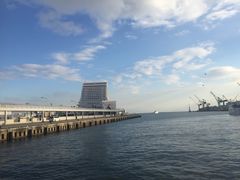 -神户美利坚公园东方大酒店