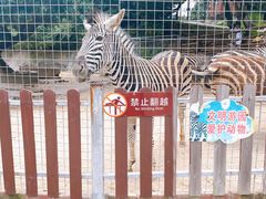 -泉州海丝野生动物世界