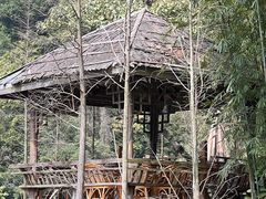 -鼎湖山风景区