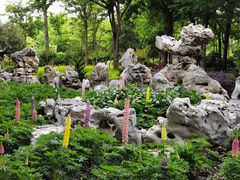 -上海鲜花港