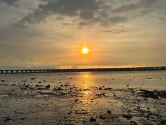 -宝安西湾红树林湿地公园