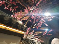 -淀里船宴(卓达店)