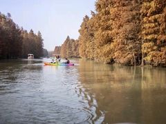 -上海海湾国家森林公园