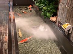 -0776食堂·京城创意菜(七里庄店)