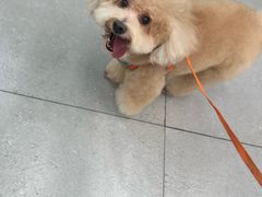 -全心全意动物诊疗中心医院(北苑店)
