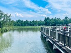 -宁波杭州湾国家湿地公园