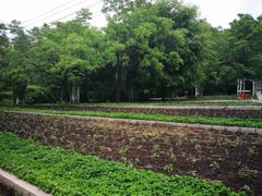 -黑龙江省森林植物园